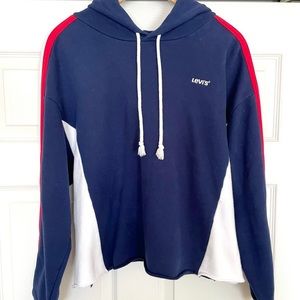 Levi’s Colorblock Hoodie